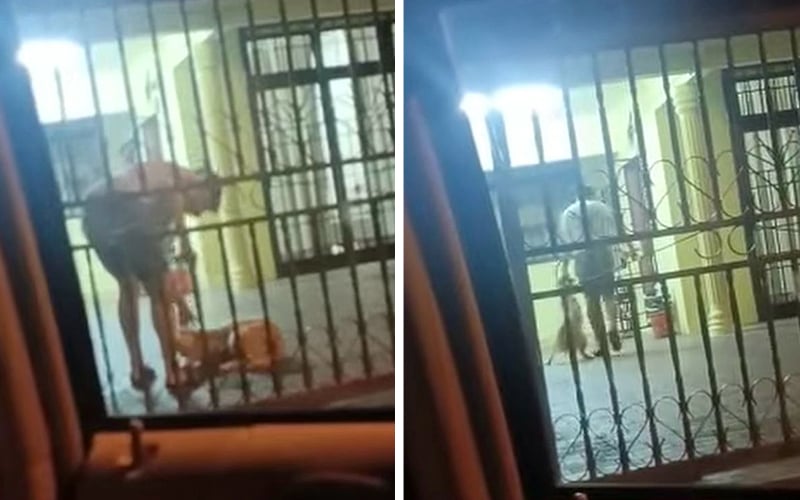 Johor cops call up man shown caning a dog in video