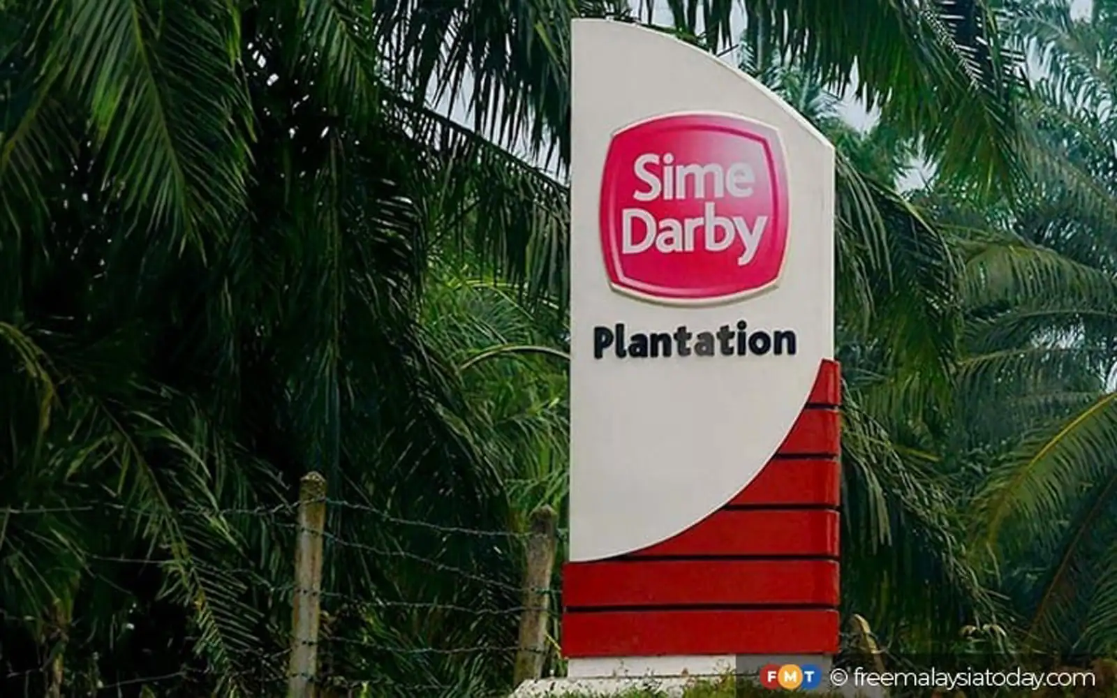 Lead the way to cut reliance on foreign labour, Sime Darby Plantations told