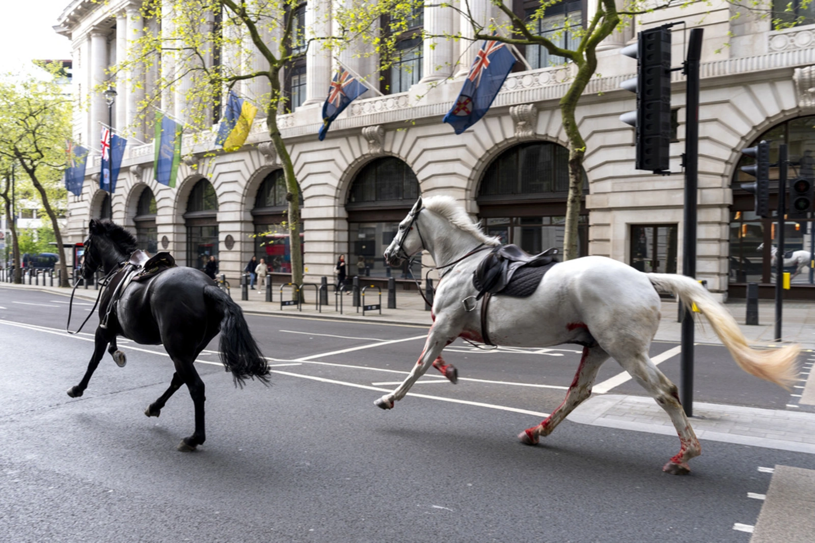 4 injured as escaped army horses bolt through central London | FMT