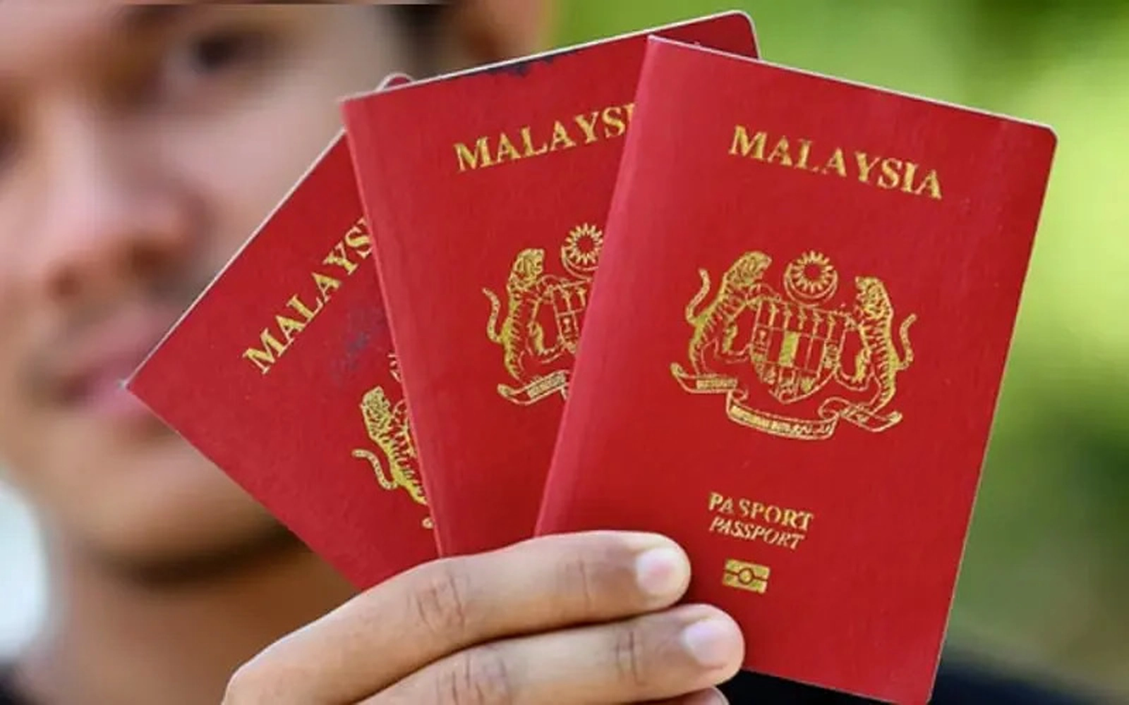 A Malaysian passport has more value than Article 153 FMT