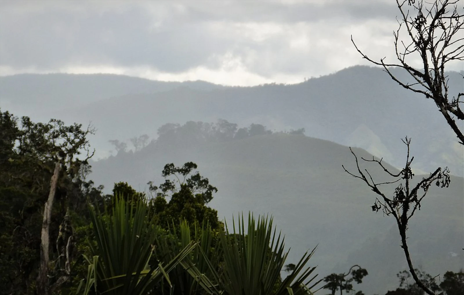 Landslide in remote PNG village kills about 100