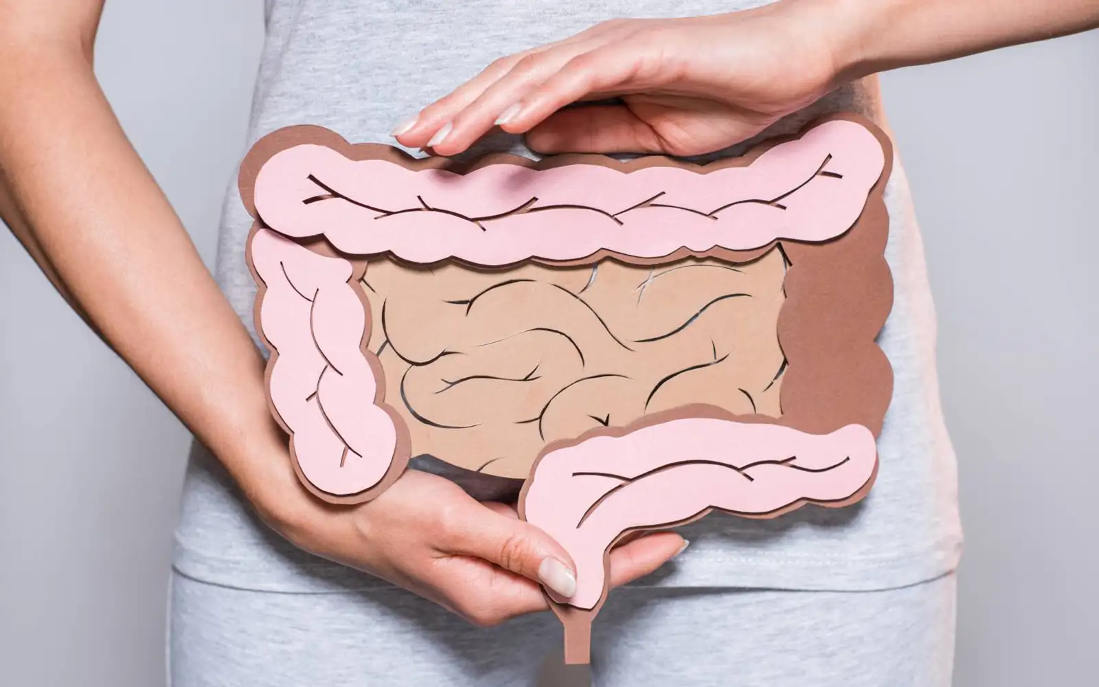 Does gut microbiota play a role in decision making? | FMT