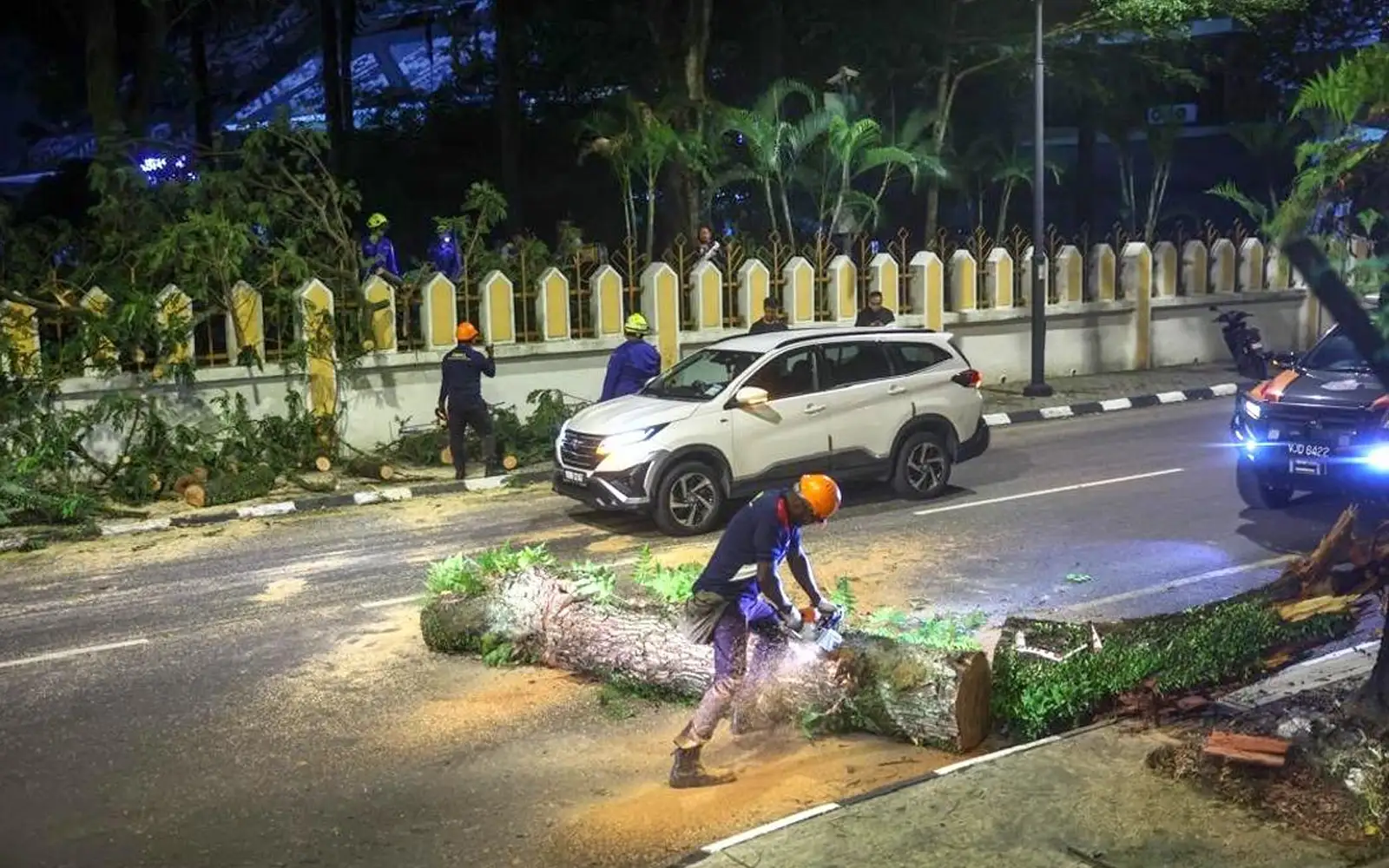 DBKL Tebang 173 Pokok Berisiko Di KL Sejak 2019 | FMT