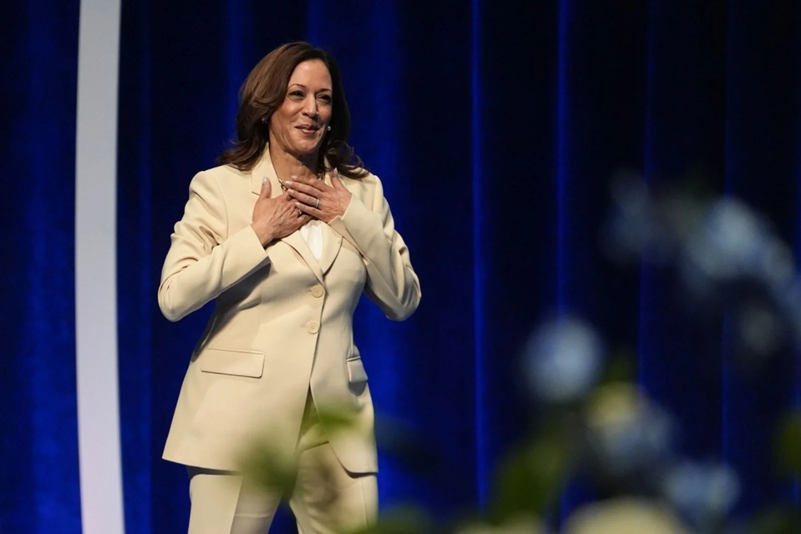 Harris aims to bring joy at Democratic convention