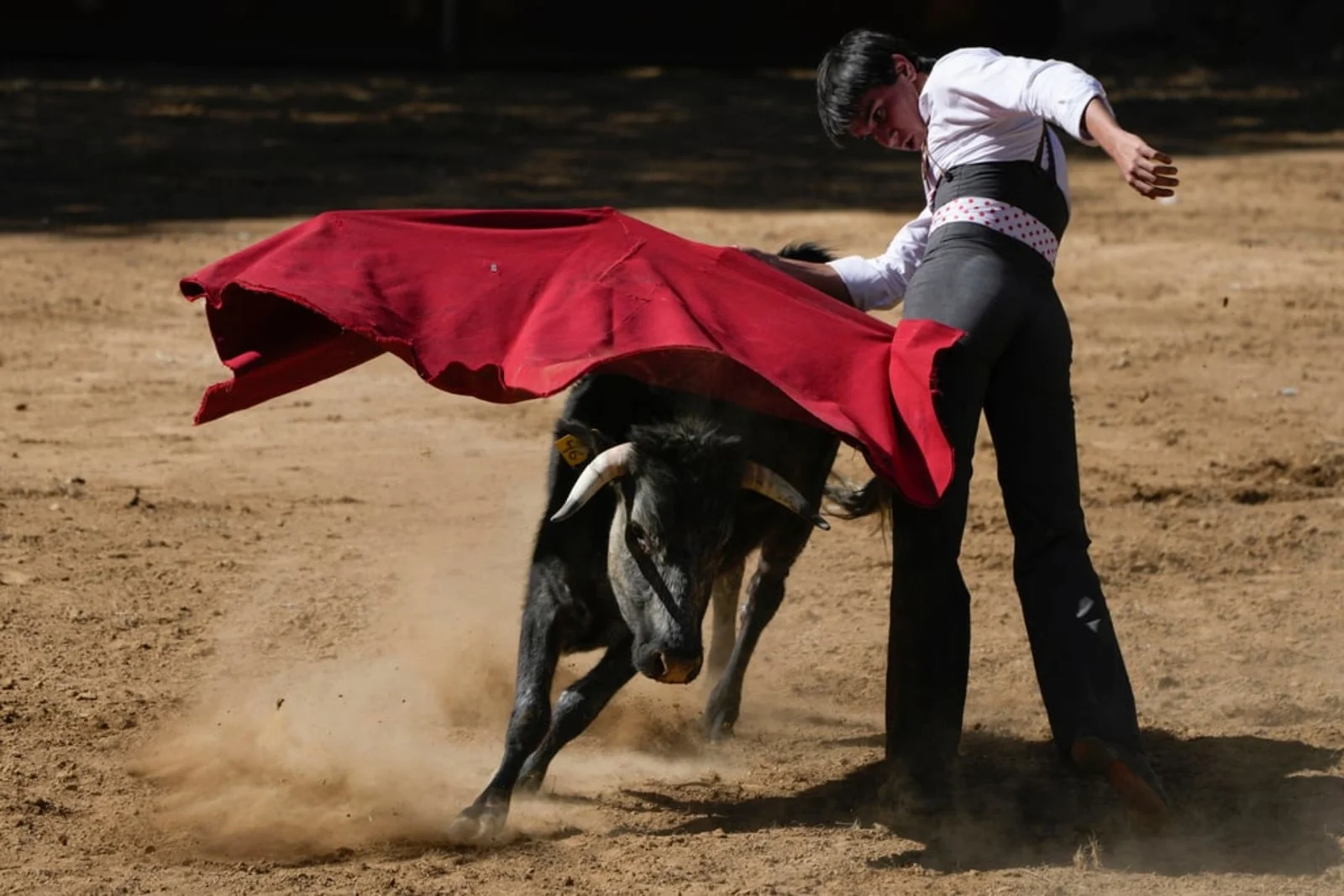 Colombian president enacts law banning bullfighting