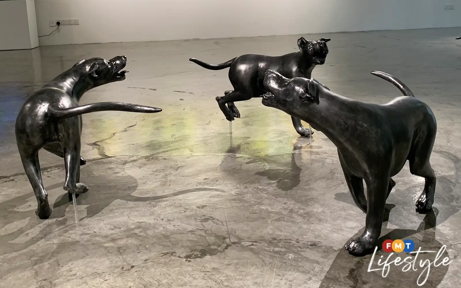 Artist uses black dogs to put the spotlight on depression | FMT