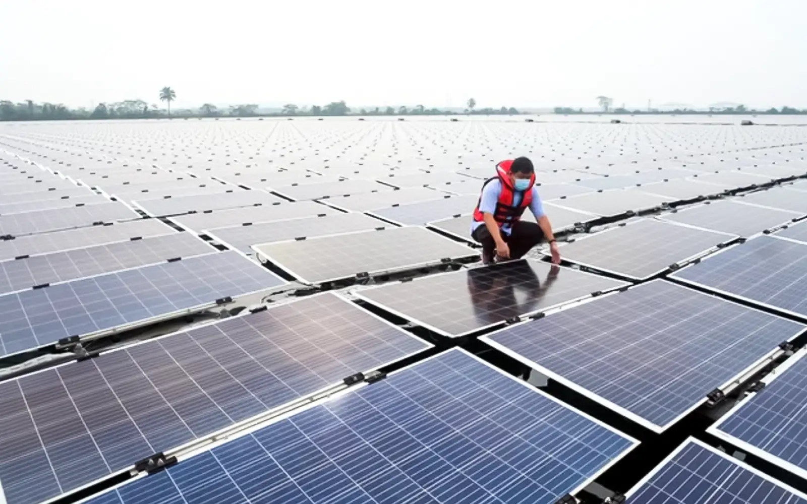 solar farm