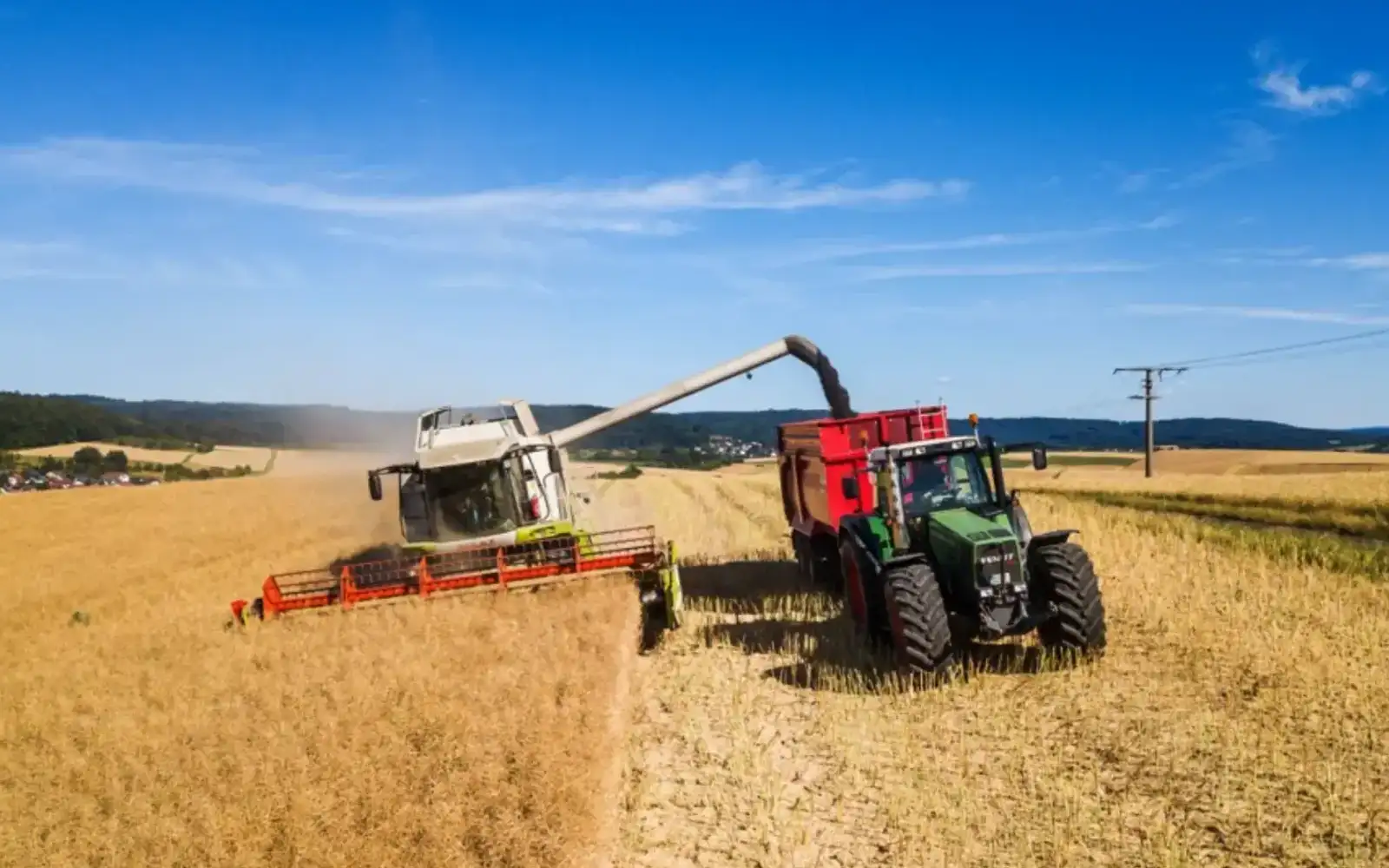 China begins anti-dumping investigation into Canadian rapeseed