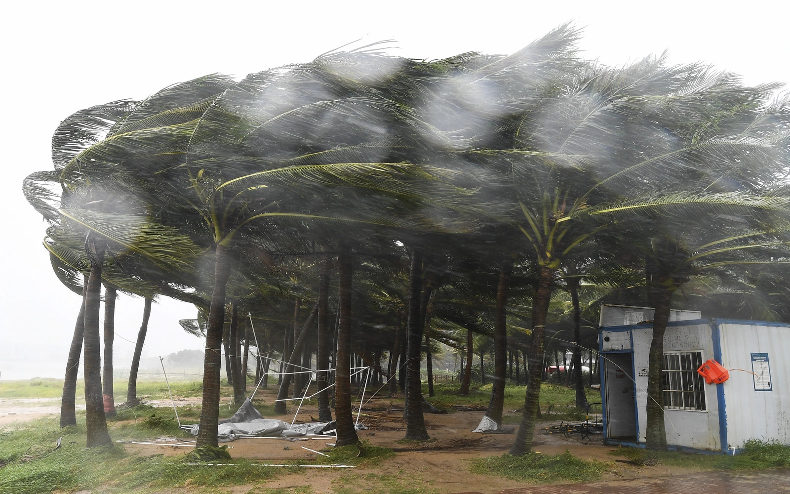 Super typhoon Yagi kills 2, injures 92 in China