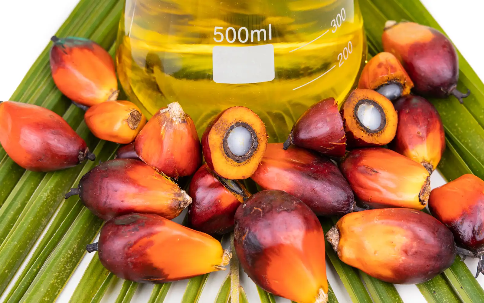 India’s July palm oil imports drop as soyoil shipments surge