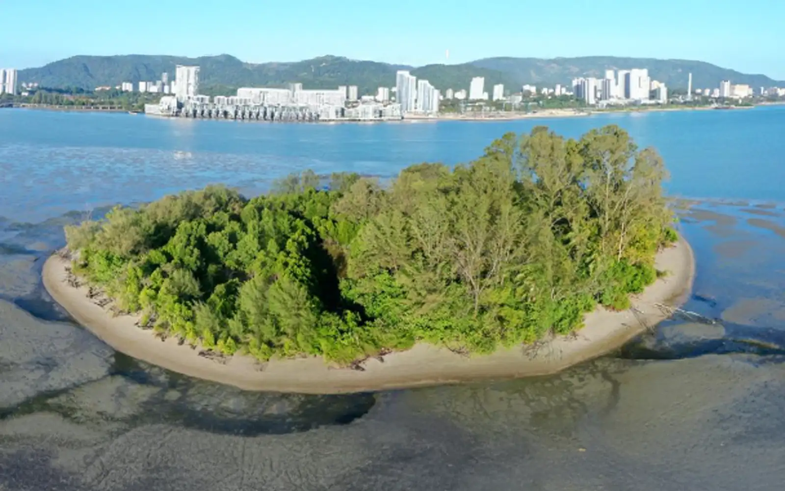 Penang postpones sanctuary protection for seagrass field