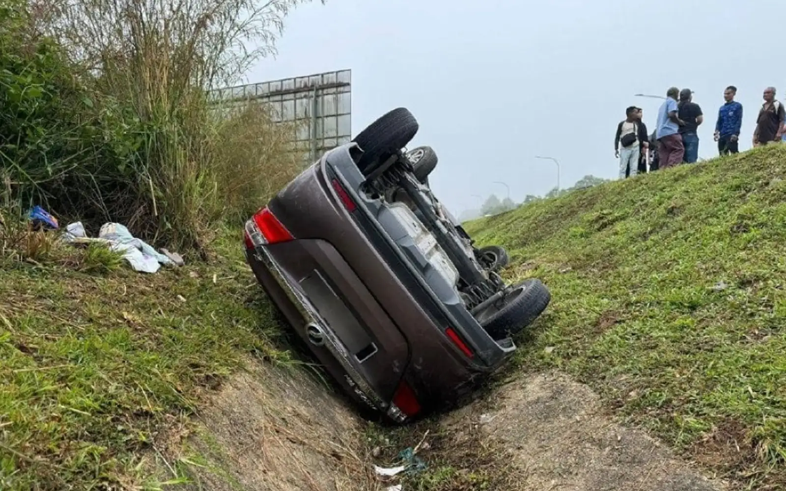 Dead cow causes fatal car accident