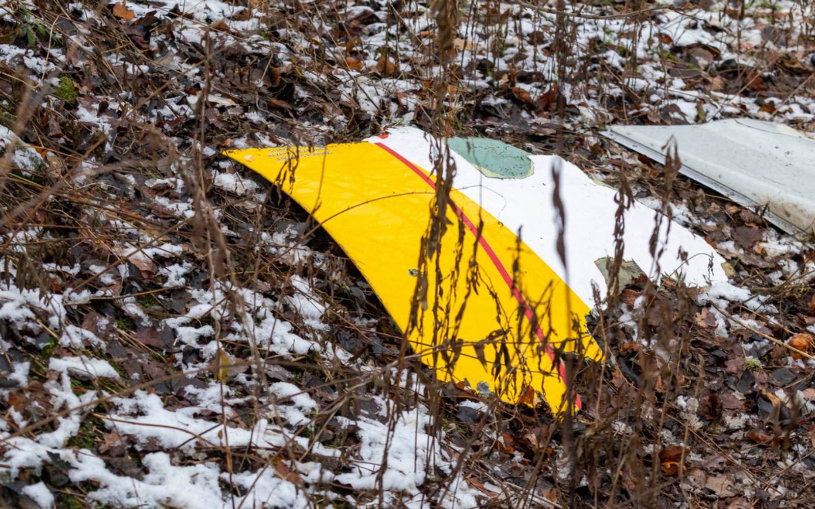 Germany fears outside hand in deadly Lithuania jet crash