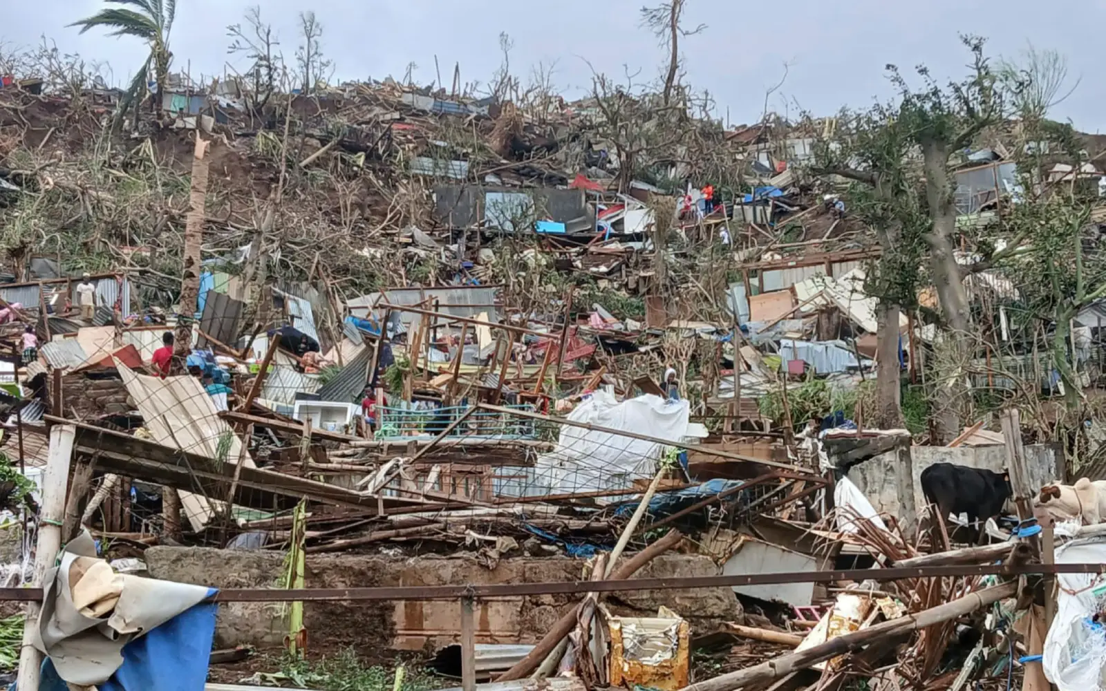 Cyclone slams into France’s Mayotte archipelago, killing at least 11