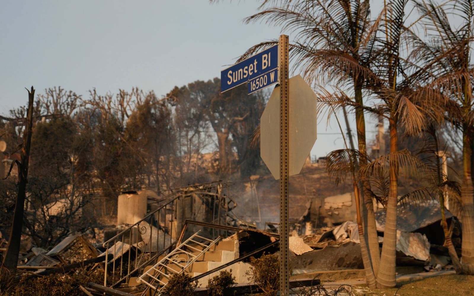 Devastating LA fires expected to push up insurance premiums