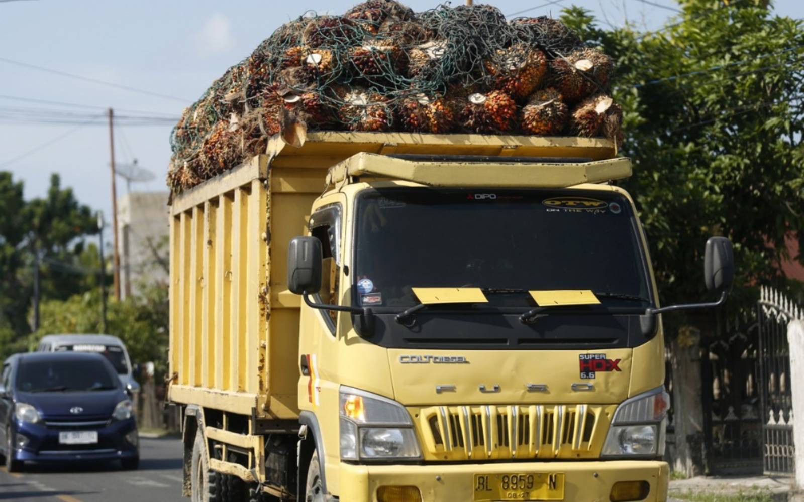 WTO favours EU over Indonesia on palm oil restrictions