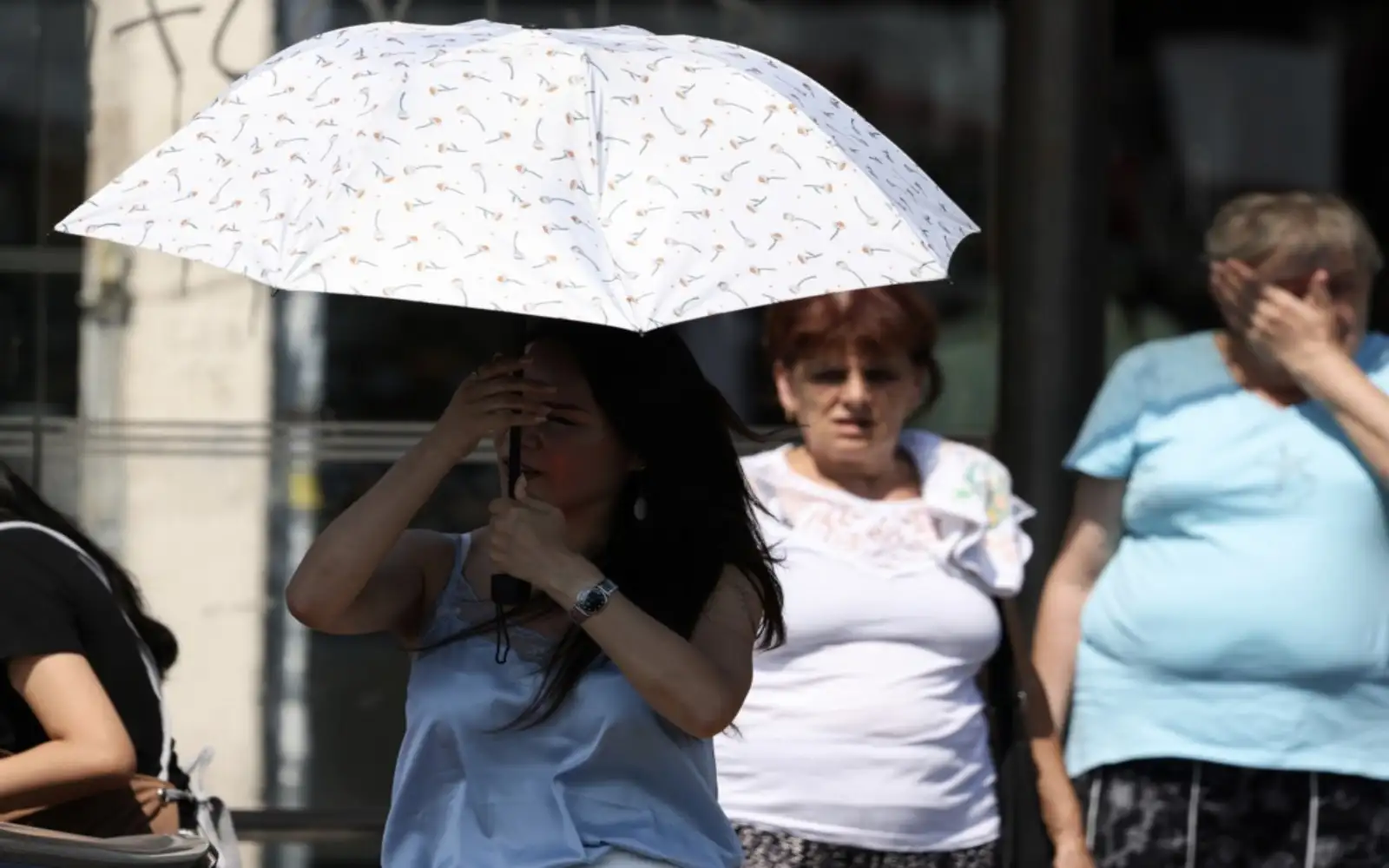 Serbia says 2024 was its hottest year ever