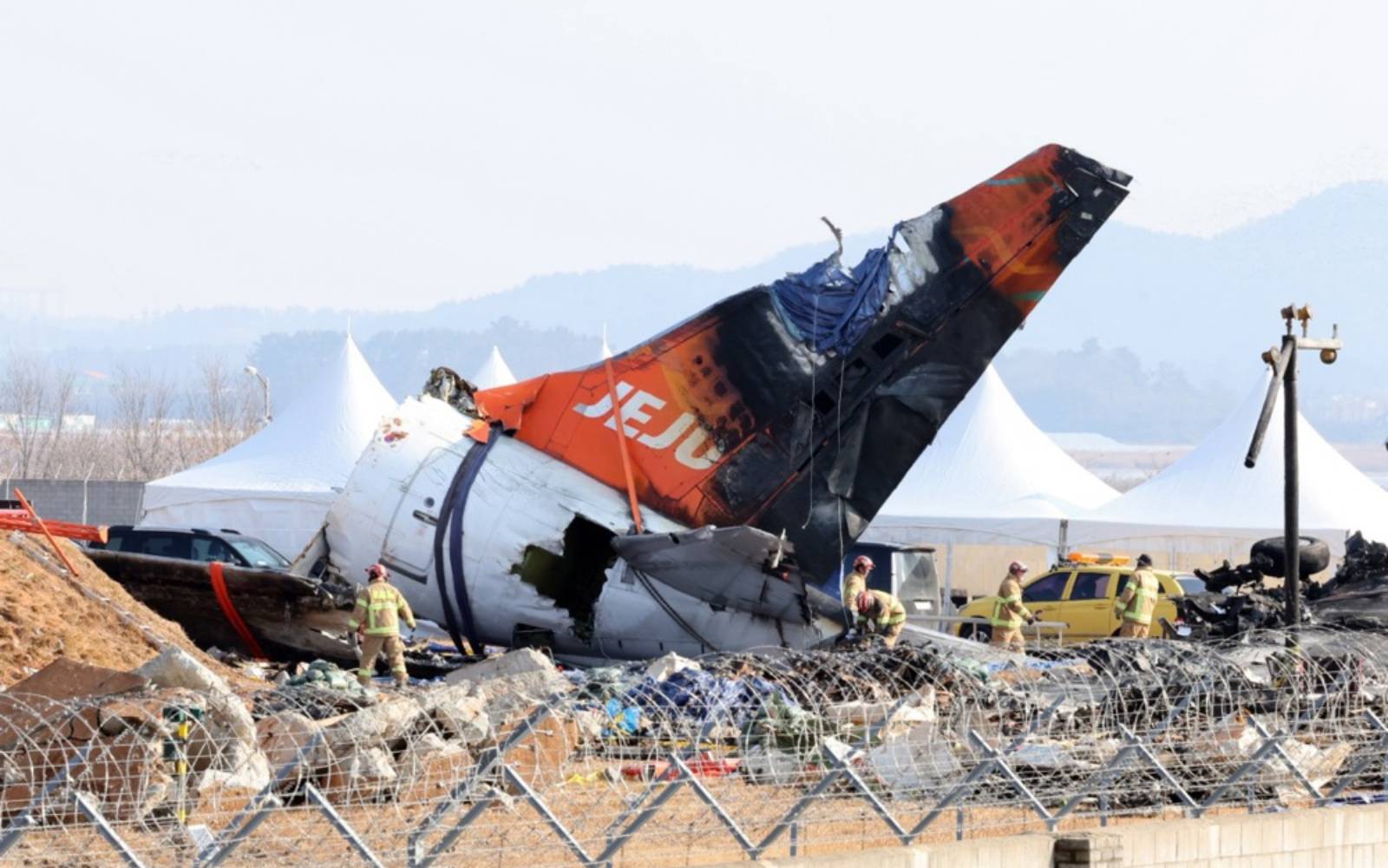 S. Korea orders all airports to install bird detection cameras, radars