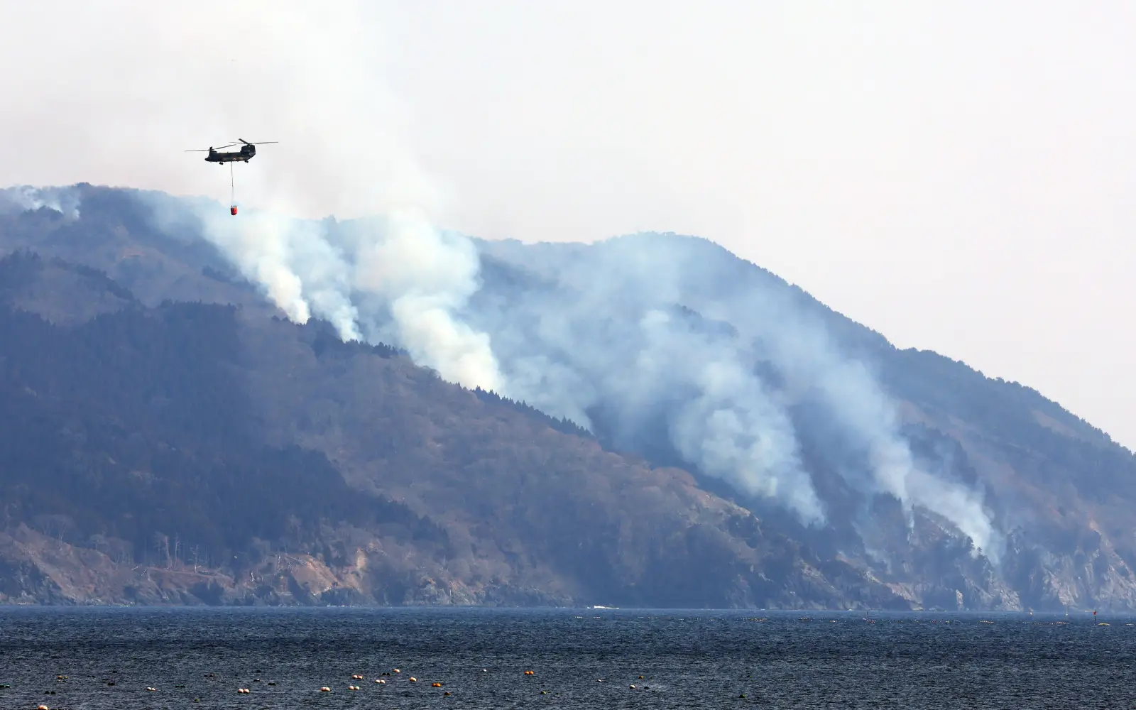 f29719f8 japan iwate wildfire 280225