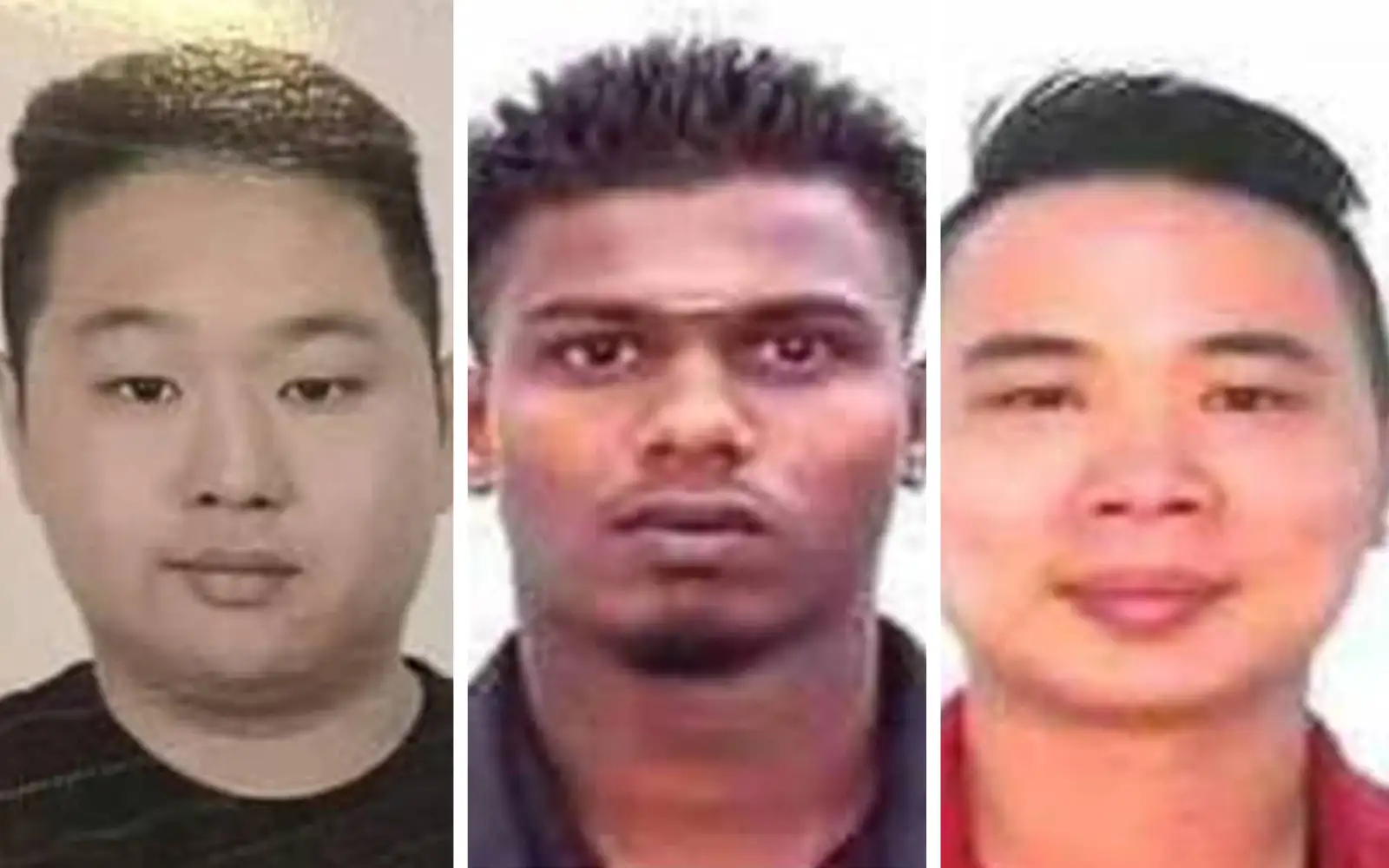 8个男人仍然想要