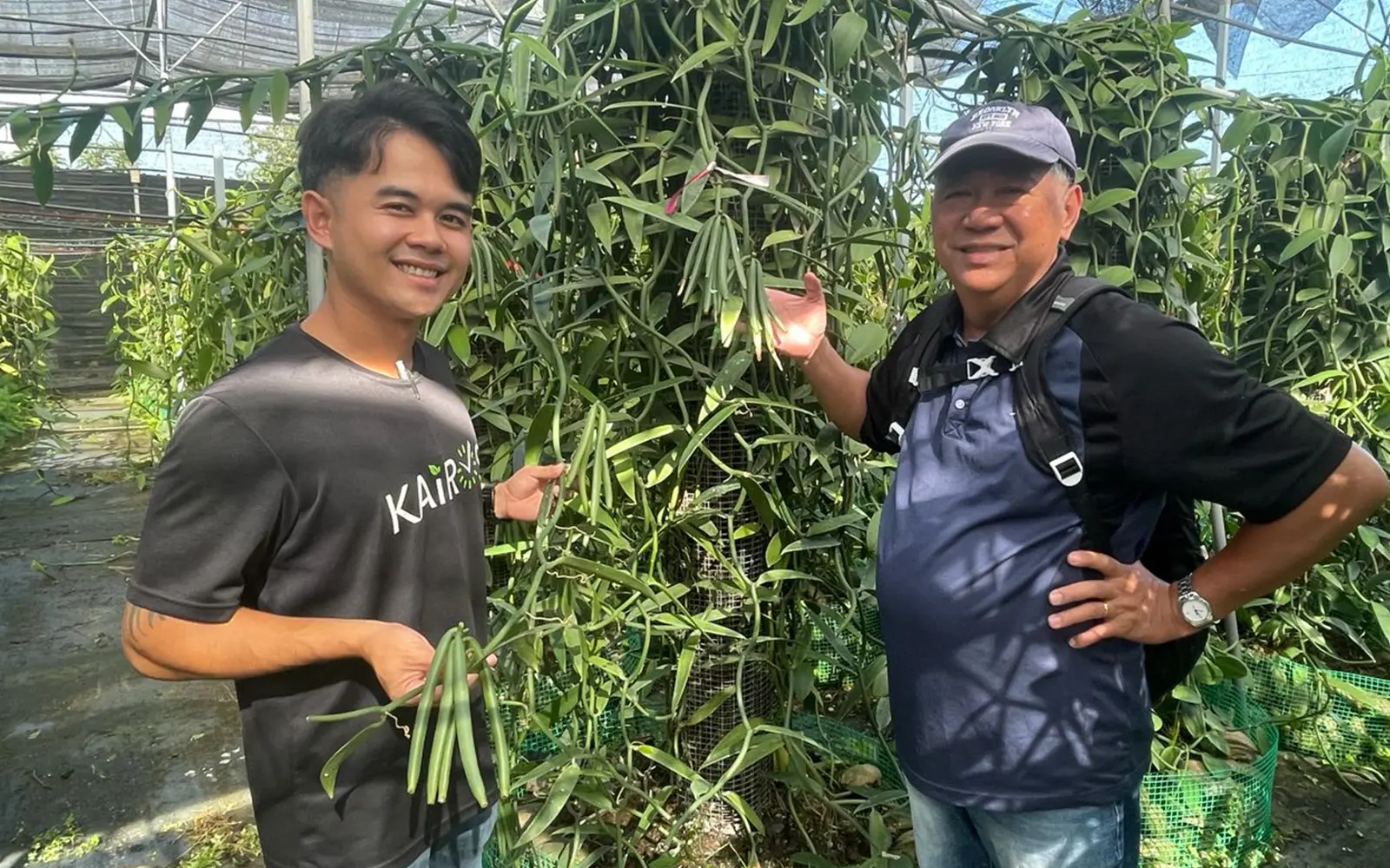 Alfred phua-Vanilla farmer keeps Christmas spirit alive all year