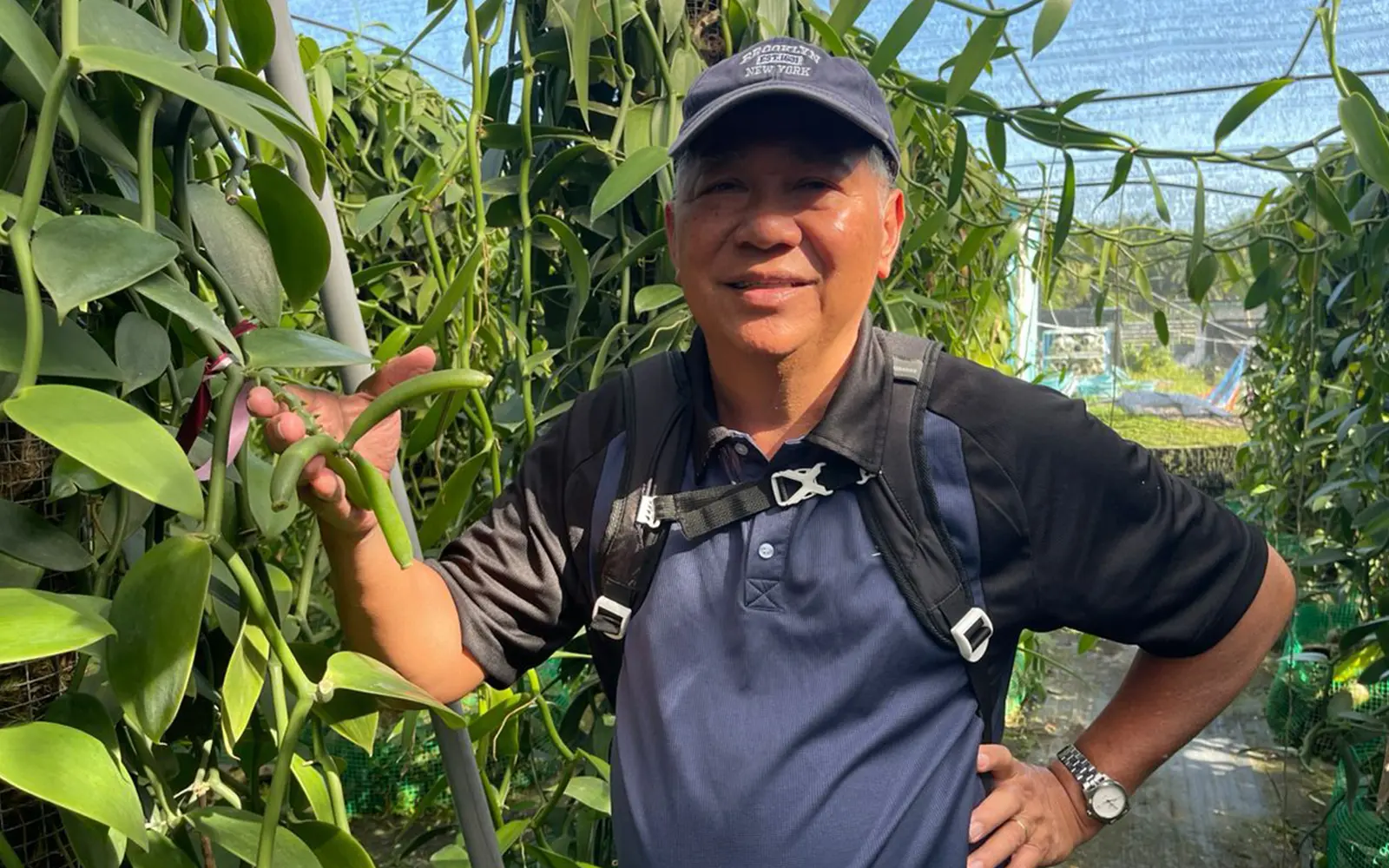 Alfred phua-Vanilla farmer keeps Christmas spirit alive all year