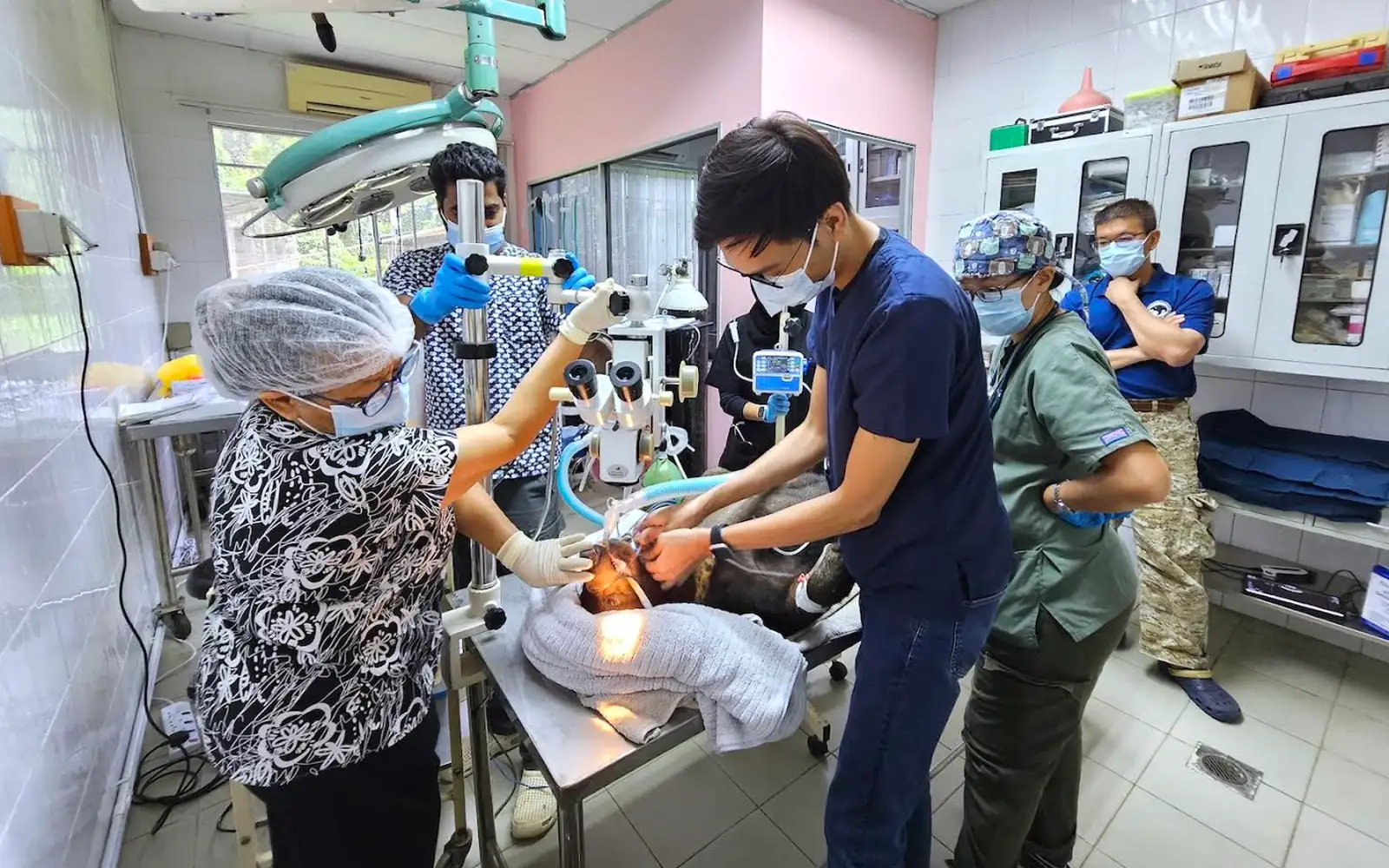 surgery 